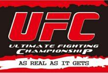 Ufc (Ultimate Fighting Championship)