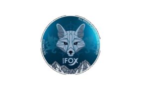 White Fox i dziedzictwo GN Tobacco — co laczy najsilniejsze marki na rynku